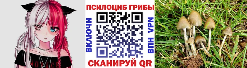 Псилоцибиновые грибы MAGIC MUSHROOMS  купить наркотик  Фролово 